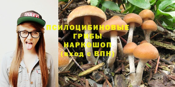 прущий лед Белокуриха