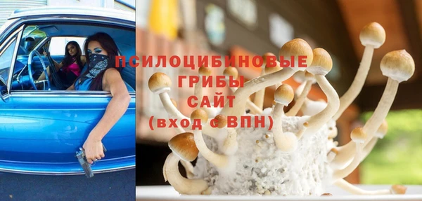 гидра Беломорск