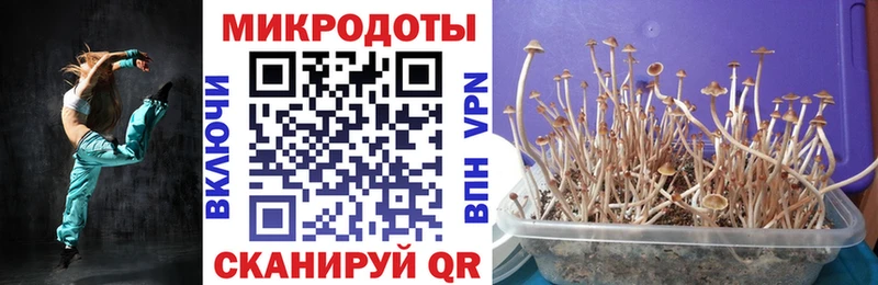 магазин продажи наркотиков Калуга mega онион Галлюциногенные грибы MAGIC MUSHROOMS