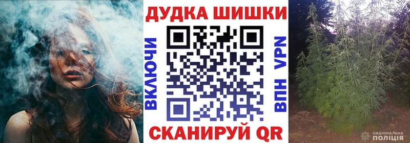 MEGA как войти  Калуга  Марихуана индика 